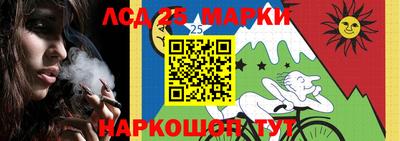 Альфа ПВП Будённовск