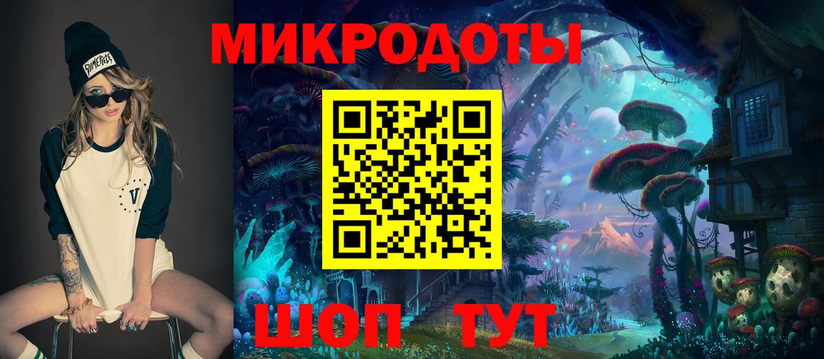 Галлюциногенные грибы Psilocybine cubensis Чапаевск