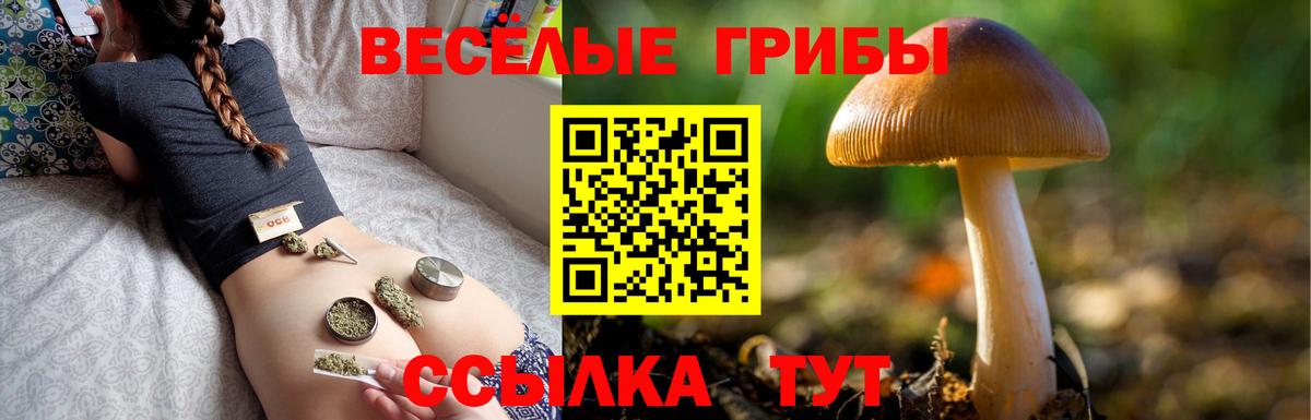 Чапаевск  Галлюциногенные грибы прущие грибы  Вход с VPN 